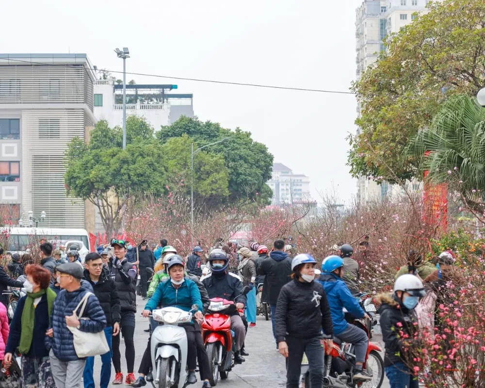 Mỗi dịp Tết đến, người dân nô nức đi chọn đào trưng Tết
