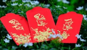 Mẫu bao lì xì Tết 2025 ấn tượng