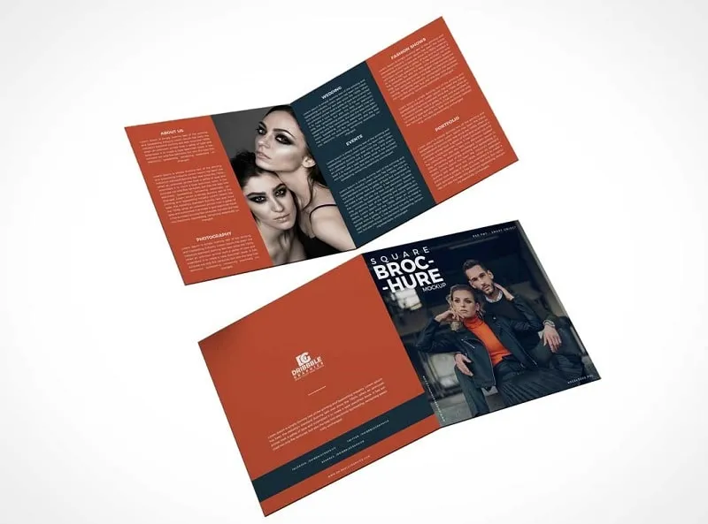Mẫu brochure gấp 2