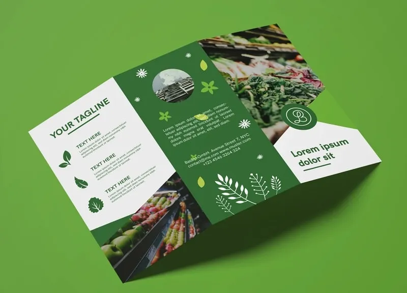 Brochure là gì? Hướng dẫn thiết kế brochure đẹp