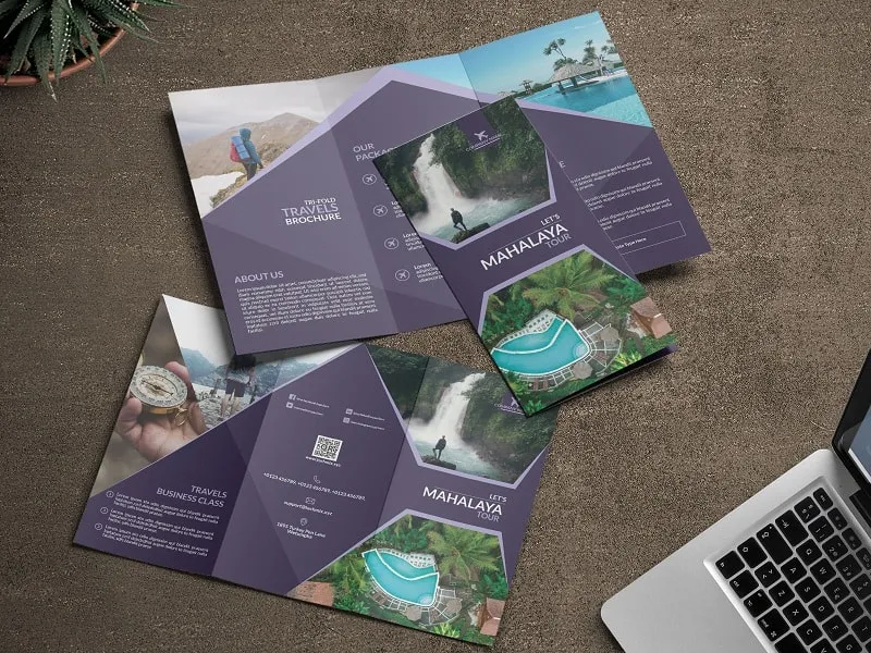 Mẫu brochure sang đẹp