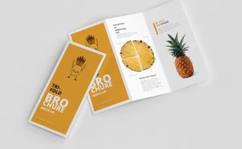 Phân biệt Leaflet, Brochure, Flyer, Pamphlet