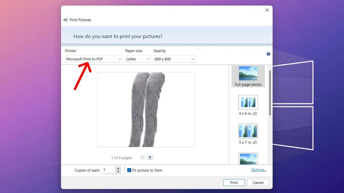 Cửa sổ Print Pictures trên Windows với tùy chọn Microsoft Print to PDF