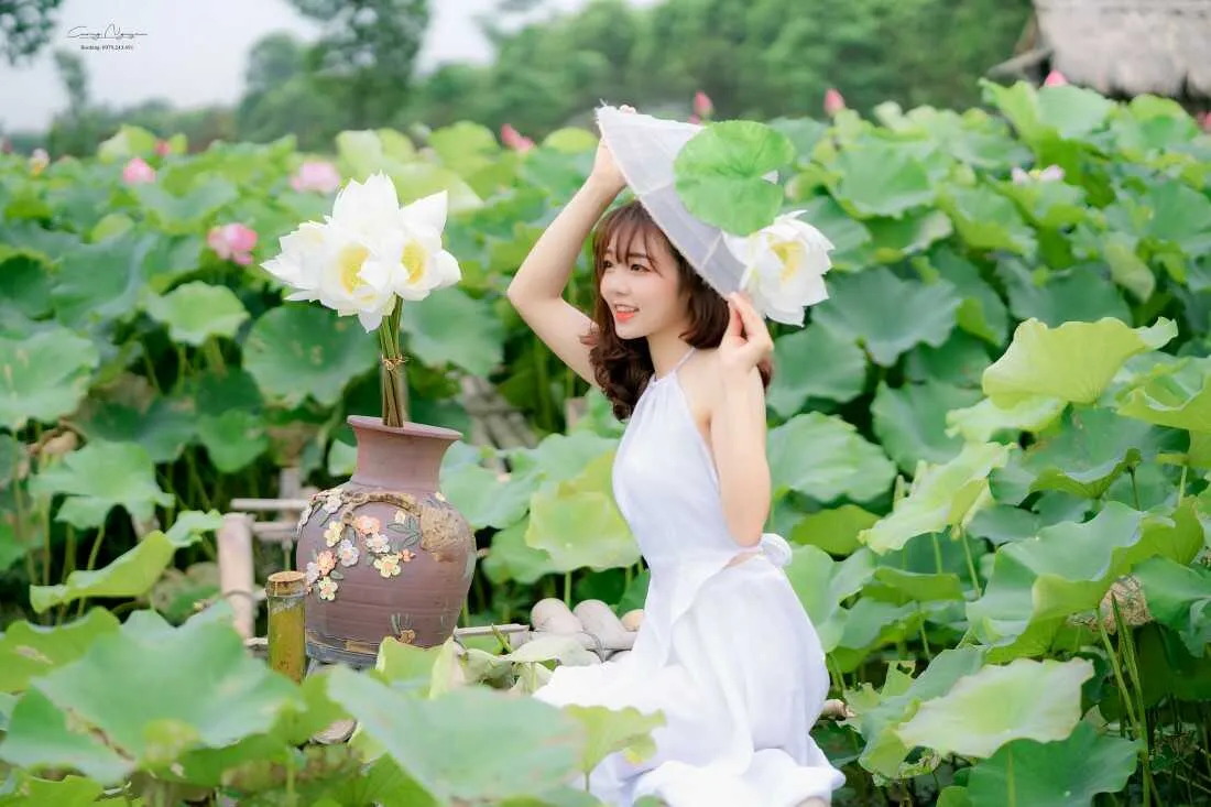 Cô gái đội nón lá nghiêng mình bên hoa sen