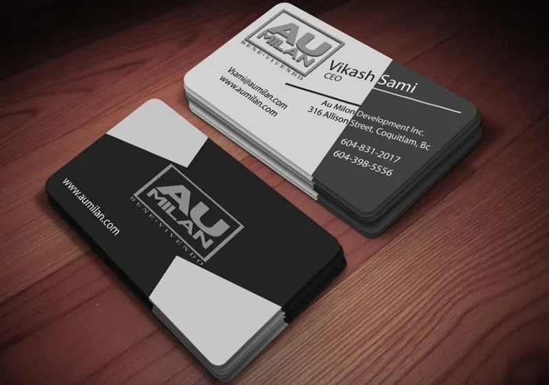 Mẫu card visit CEO kinh doanh