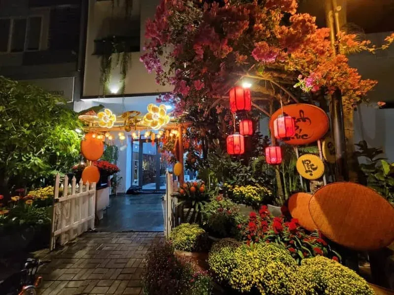 Sân nhà trang trí rực rỡ với chậu hoa Tết đầy màu sắc và lồng đèn đỏ lung linh