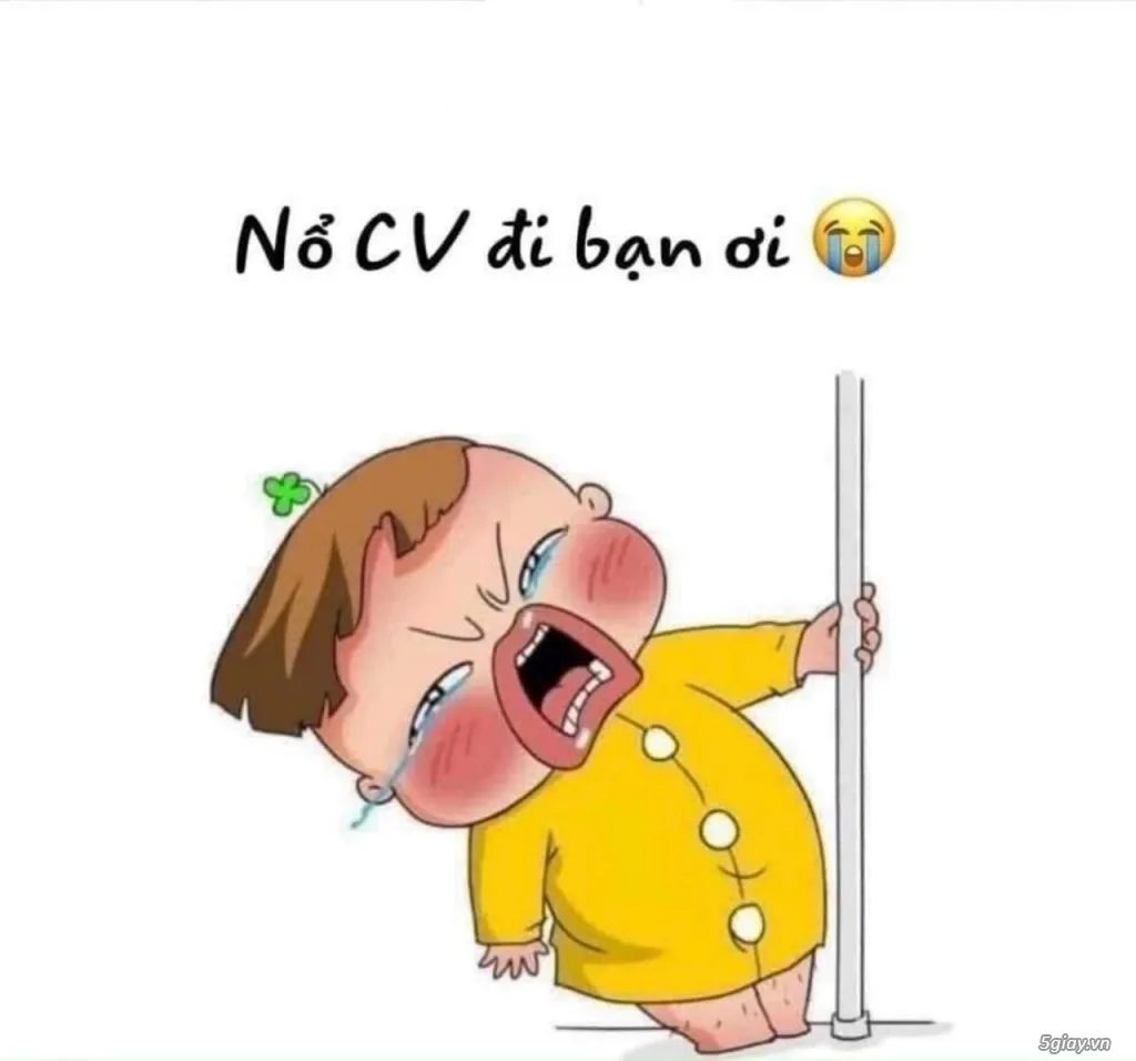 Hình ảnh tuyển dụng hài hước giúp thu hút nhiều ứng viên