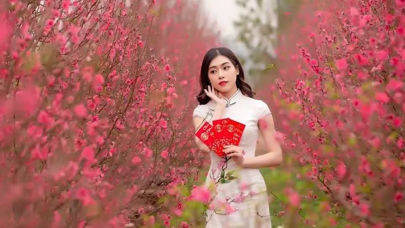 Cành hoa đào nở rộ với sắc hồng tươi tắn trong dịp Tết