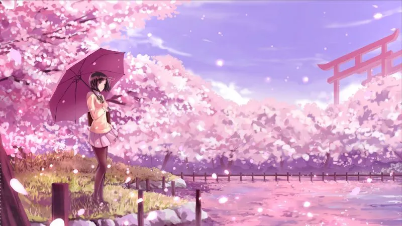 Cảnh hoa đào rơi trong anime, mang ý nghĩa về sự thoáng qua