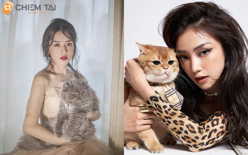 Chụp ảnh dễ thương cùng chú cún cưng