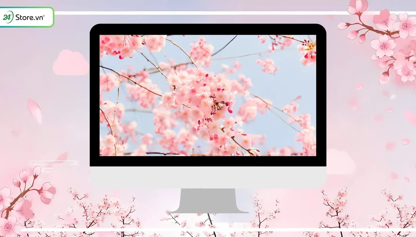 Ảnh hoa đào full HD làm hình nền cho màn hình máy tính