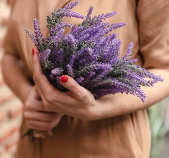 Bó hoa lavender chụp kỷ yếu sang trọng và huyền bí