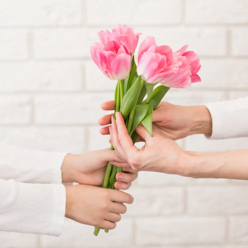 Bó hoa tulip hồng chụp ảnh kỷ yếu