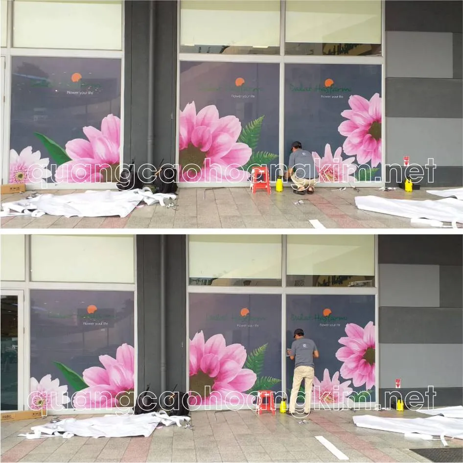 Decal PP in màu sắc rực rỡ cho cửa hàng