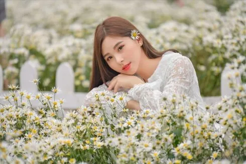 Trong trẻo, nhẹ nhàng bên vườn cúc họa mi trắng tại vườn hoa Long Biên