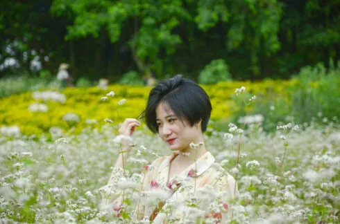 Vườn hoa tam giác mạch thơ mộng tái hiện khung cảnh Hà Giang tại vườn hoa Long Biên