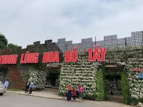 Hình ảnh du khách chụp ảnh tại Thung lũng hoa Hồ Tây