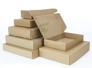 Hộp carton nắp gài màu trắng đóng gói sản phẩm